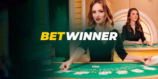 All You Need to Know About Casino Betwinner All You Need to Know About Casino Betwinner