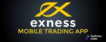 Discover the Benefits of Exness MT5 Demo Trading