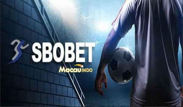 Mengetahui Dunia Judi Bola Panduan Lengkap untuk Pemula dan Pecinta Olahraga
